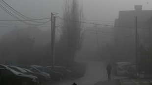 La adopci&oacute;n, la soluci&oacute;n de Kosovo para acabar con los perros callejeros