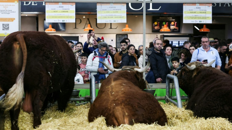Salon de l'agriculture: pas de concours pour les vaches, pr&eacute;sence "symbolique" en discussion