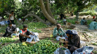 Au Pakistan, la météo pourrait avoir la peau de la mangue