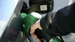 Le Medef propose une "indemnit&eacute; essence" de 300 euros par salari&eacute; et par an