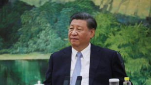 Chinas Präsident Xi bricht zu Brics-Gipfel in Südafrika auf