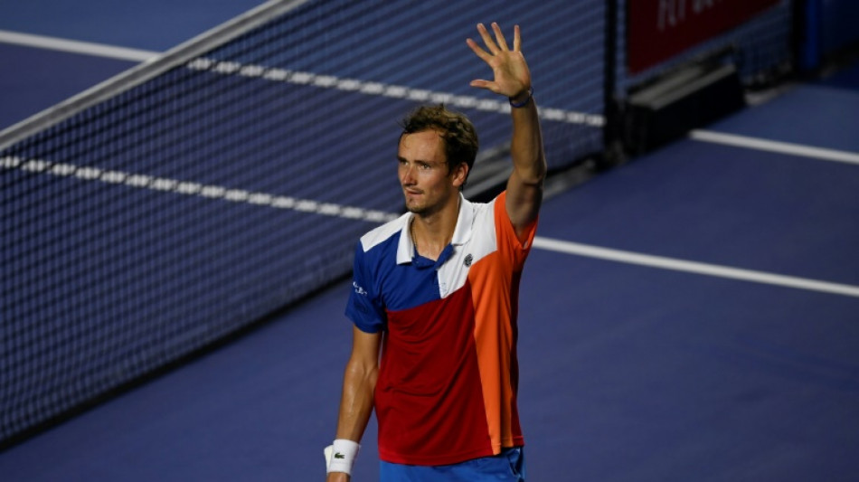 Dead fish, small cats and world number one: Three things on Daniil Medvedev