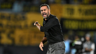 Artur Jorge, o 'ca&ccedil;a-fantasmas' do Botafogo