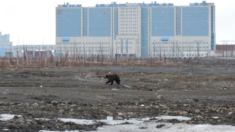 EEUU crea puesto de embajador en el &Aacute;rtico para enfrentar a China y Rusia 