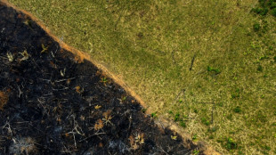 Emissões de CO2 da Amazônia dispararam no governo Bolsonaro, aponta estudo