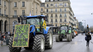 Protestos de agricultores na UE t&ecirc;m grande impacto sobre acordo com Mercosul