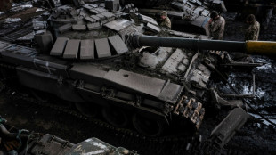 Russia 'killing' climate, say activists awaiting top rights court ruling