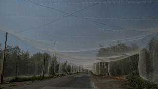 Qual a import&acirc;ncia do 'cintur&atilde;o fortificado' do Donbass?