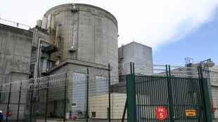 Deutschland bekräftigt Ablehnung eines Ökosiegels für Atomkraft