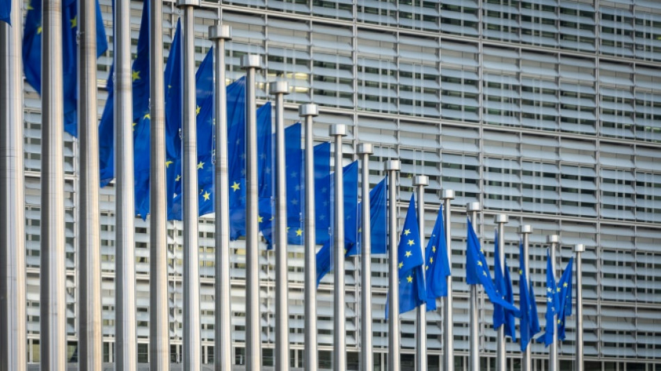 Umfrage: Deutsche werfen EU M&auml;ngel im Kampf gegen Korruption vor
