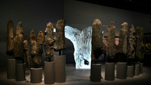 Nacimiento y declive de Stonehenge en una exposición del Museo Británico en Londres