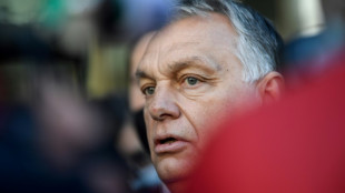 Ungarischer Minister warnt vor Treffen Orbans mit Putin vor "Kalter-Kriegs-Rhetorik"
