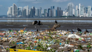 Conferencia mundial de los oc&eacute;anos comienza en Panam&aacute; con llamados a la conservaci&oacute;n y anuncios de fondos millonarios