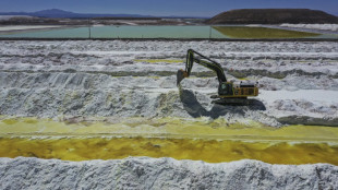 Chili : naissance d'une entreprise géante pour l'exploitation du lithium