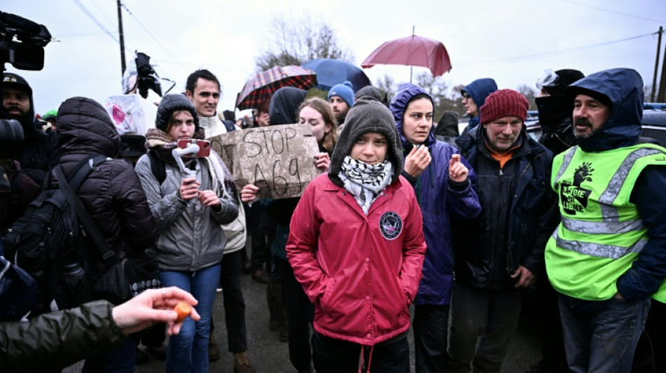 "Stop A69!": Greta Thunberg en soutien aux opposants &agrave; un projet d'autoroute