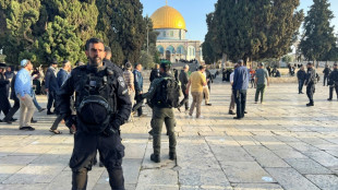Erneut Zusammenstöße auf dem Tempelberg in Jerusalem