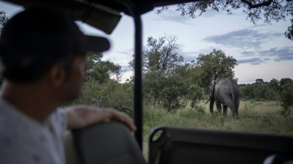 Tierschützer wehren sich gegen Windräder nahe Elefanten-Reservat in Südafrika
