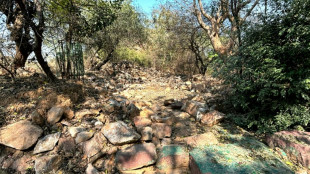 Inde: des sites du patrimoine islamique ras&eacute;s au nom du d&eacute;veloppement de Delhi