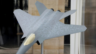 France doubles down on threat to build future fighter jet alone