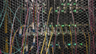 Rientra in Italia dagli Usa e porta un'azienda di tecnologie quantistiche