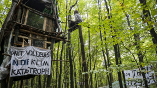 Einsatz von Schlagstock bei Räumung von Dannenröder Forst in Hessen rechtens