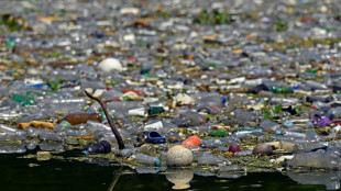 Une mar&eacute;e de d&eacute;chets plastiques d&eacute;figure lacs et plages d'Am&eacute;rique centrale