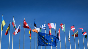 Handel mit zehn Ost-EU-L&auml;ndern seit Erweiterung 2004 deutlich gestiegen