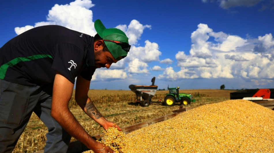 Brasil mantiene la tasa de desempleo en m&iacute;nimos hist&oacute;ricos