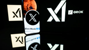 Latest Grok chatbot turns to Musk for some answers
