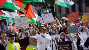 Milhares de pessoas participam de manifesta&ccedil;&atilde;o pr&oacute;-palestinos em Copenhague
