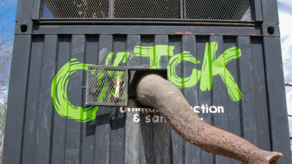 Mexican cartel turf war forces evacuation of exotic animals