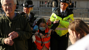 Ativistas atacam quadro de pintor espanhol Vel&aacute;zquez em Londres