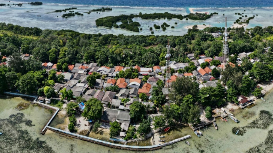 "David contre Goliath": une &icirc;le indon&eacute;sienne et le cimentier Holcim s'affrontent en justice