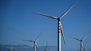 Las soluciones contra el cambio climático a veces no son las mejores para la biodiversidad