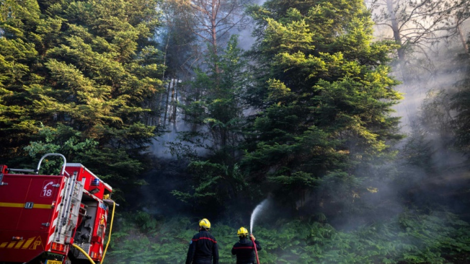 Vosges: le feu de for&ecirc;t est "fix&eacute;", 30 hectares br&ucirc;l&eacute;s