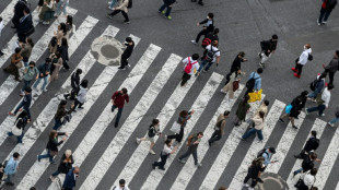 Stocks climb eyeing US rate cuts, political changes 