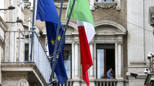 L'Ue eroga all'Italia 12,8 miliardi per il Pnrr, &egrave; la nona tranche
