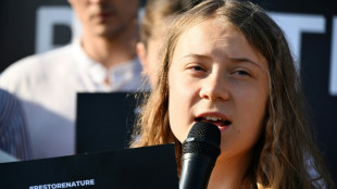 Greta Thunberg condamn&eacute;e en Su&egrave;de pour avoir d&eacute;sob&eacute;i &agrave; la police