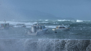 Hundreds evacuated as waves batter New Zealand capital