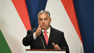 Aux portes de l'Otan, la Su&egrave;de invit&eacute;e par Orban &agrave; discuter
