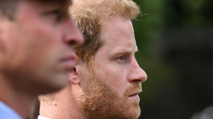 Le prince Harry accuse son fr&egrave;re William de l'avoir attaqu&eacute; physiquement en 2019 (m&eacute;dia)
