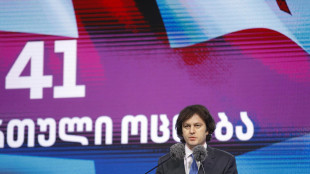 Premier Georgia, la protesta è finanziata dall'estero