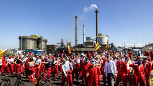 El gigante siderúrgico Tata Steel recortará 800 empleos en Países Bajos