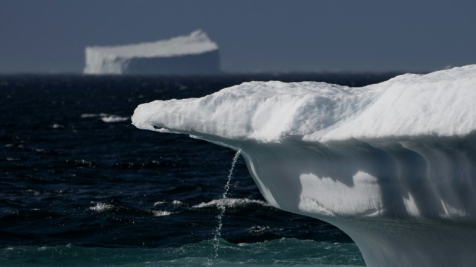 Groenlandia perdi&oacute; m&aacute;s hielo de lo que se pensaba hasta ahora, seg&uacute;n un estudio