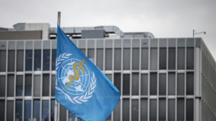 Le chol&eacute;ra a fait plus de 300 morts depuis le d&eacute;but de l'ann&eacute;e en Angola, selon l'OMS