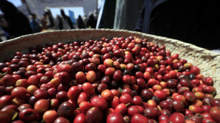 Confidi VG e Caff&egrave; Trieste, 7milioni contro impennata prezzi