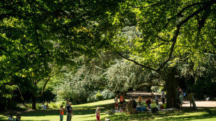 Plus de verdure, moins de pollution: en ville, la recette pour une meilleure sant&eacute;