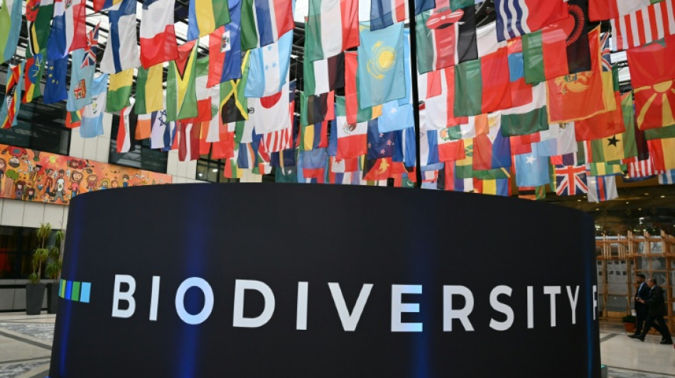 El mundo reanuda en Roma el &aacute;spero debate sobre la financiaci&oacute;n de la preservaci&oacute;n de la naturaleza