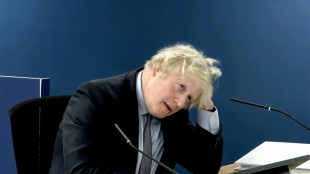 Boris Johnson pede desculpas às vítimas da covid-19