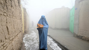 Talibanes llaman a los pa&iacute;ses musulmanes a reconocer al gobierno afgano